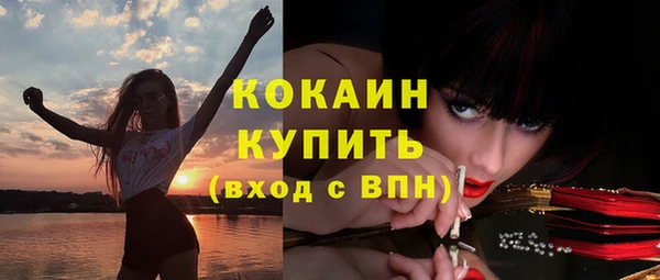крисы Арсеньев