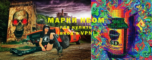трава Аркадак