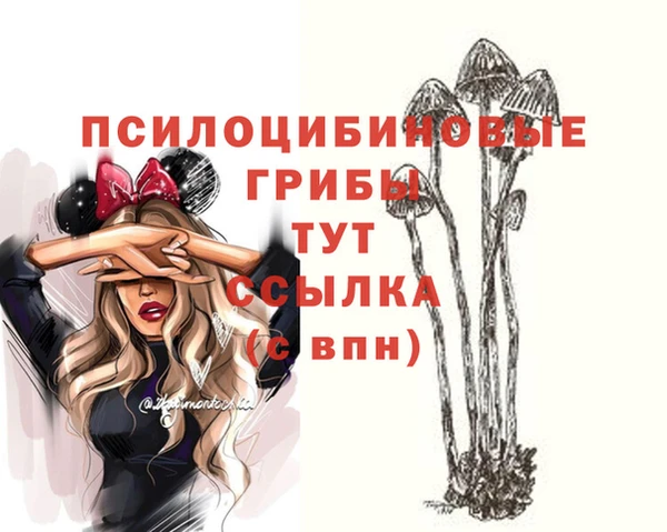 трава Аркадак
