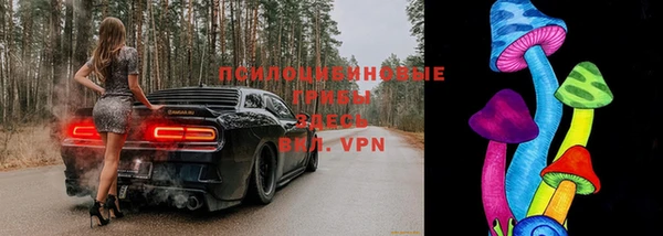 крисы Арсеньев