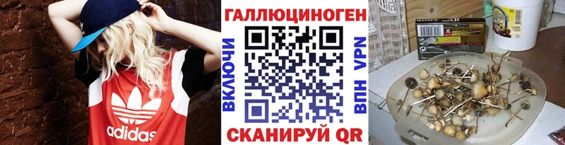 MEGA онион  наркотики  Сосновоборск  Галлюциногенные грибы Magic Shrooms 